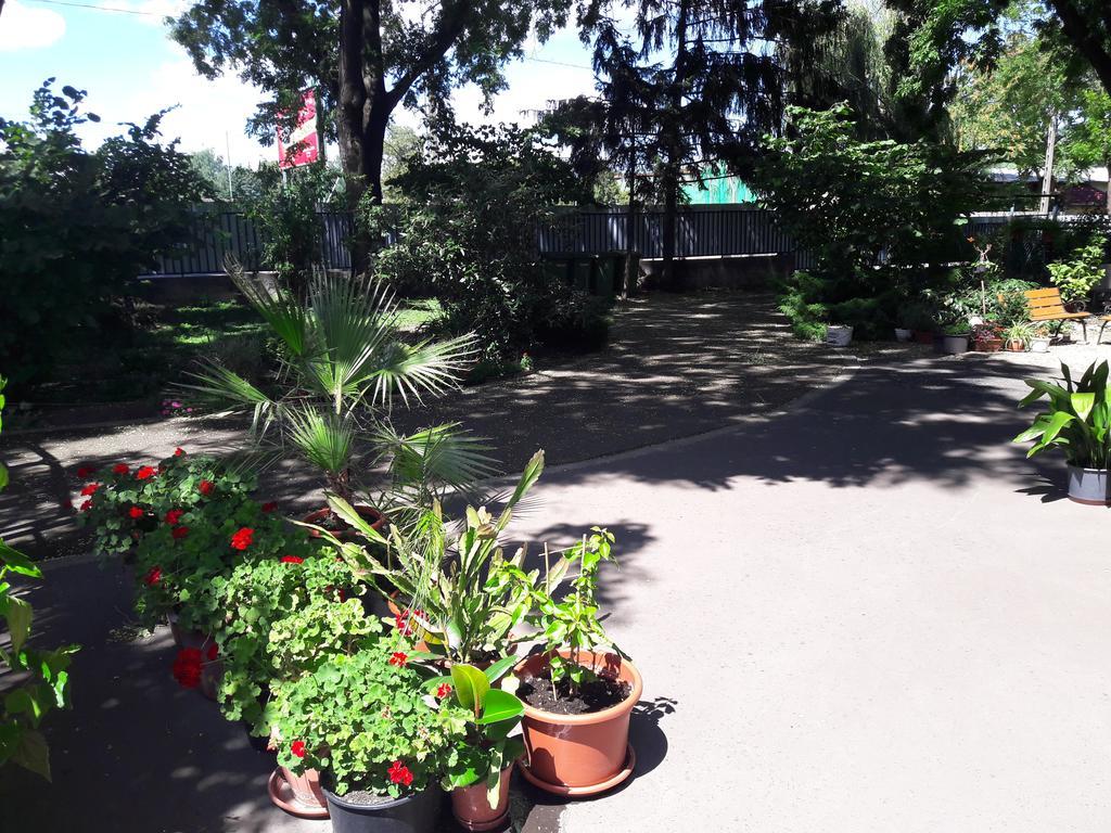 Orchidea Apartman Eger Exterior foto